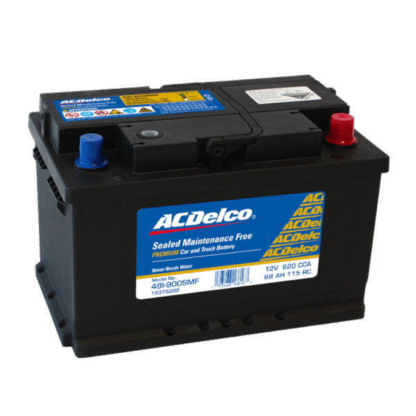 Bateria AC-DELCO Dorada 48-900