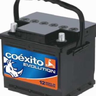 Batería COEXITO 36I 600X