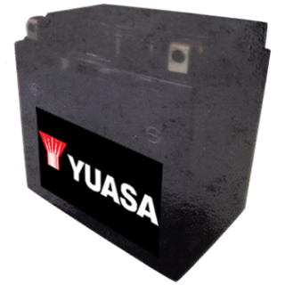 Batería Yuasa YTX14 LBS