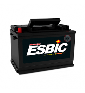 Batería WILLARD Esbic 48I-830