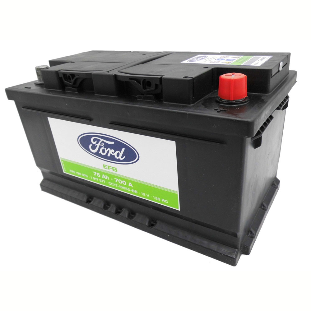 CC1T10655BB Ford LN4 EFB