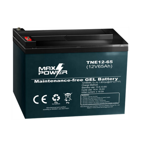 Bateria MAXPOWER TNEP12-60